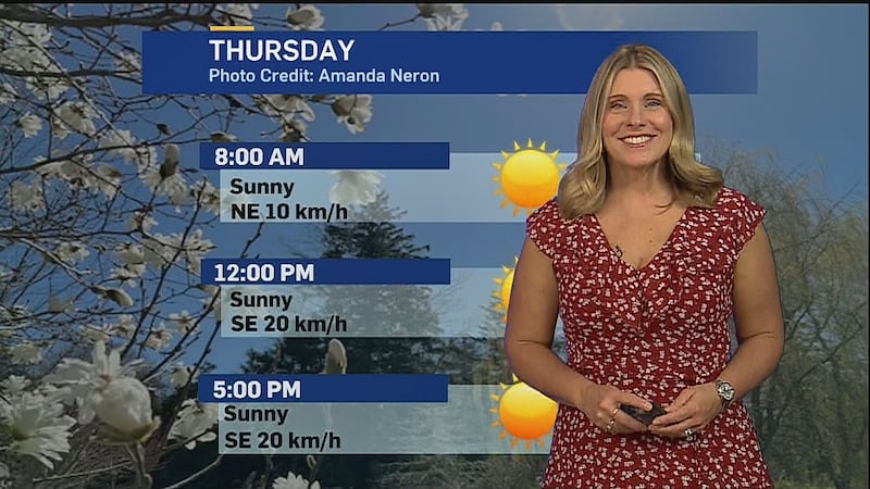 ‘This weather is gorgeous’: Sunny Thursday before rainfall returns over the weekend