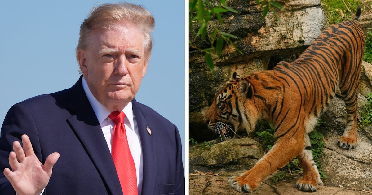 Familie eines Opfers eines Tigerangriffs in Großbritannien fordert ein ...