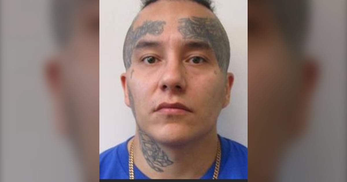 Convicted sex offender released from prison, expected to live in Winnipeg - CTV News