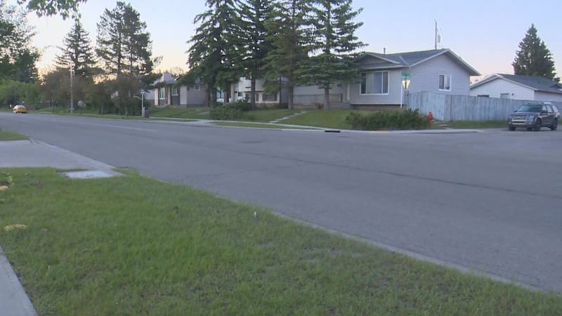 Northeast Calgary shooting under investigation