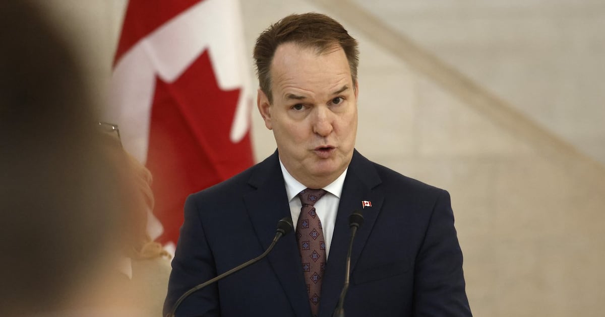 Transport minister won’t guarantee prices won’t go up after airport privatization, promises fees will be ‘partially regulated’ - CTV News