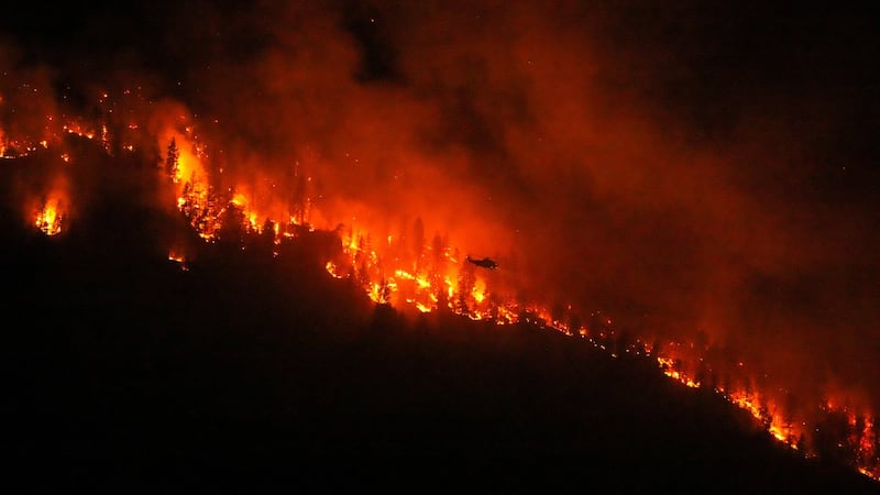 Public service cuts putting Canadians at risk from climate disasters: union