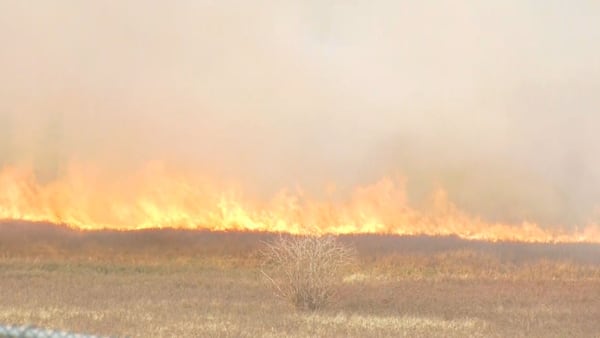 4-acre grass fire doused in northeast Calgary