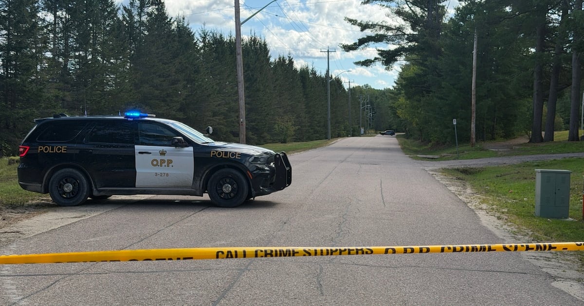 Police urging residents to remove unverified info from social media following stabbing in Deep River, Ont. - CTV News