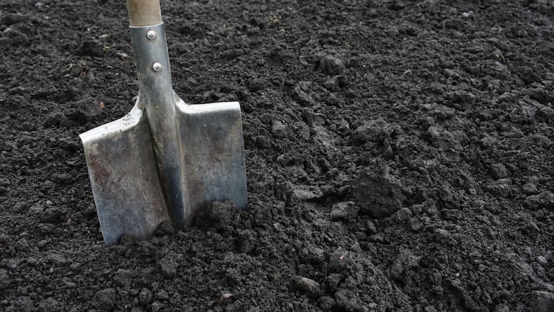 B.C. man owes $2,320 after damaging gas line, but tribunal rules he’s not on hook for repair crew’s meals