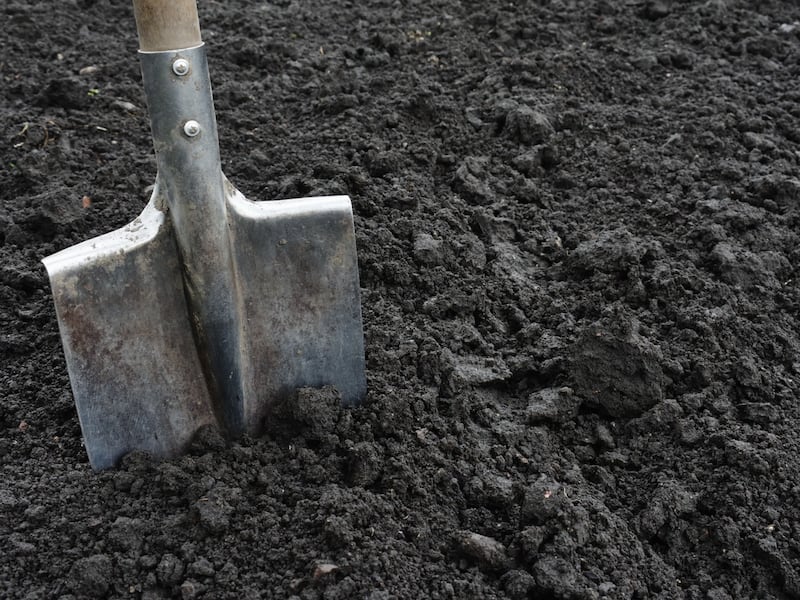 B.C. man owes $2,320 after damaging gas line, but tribunal rules he’s not on hook for repair crew’s meals