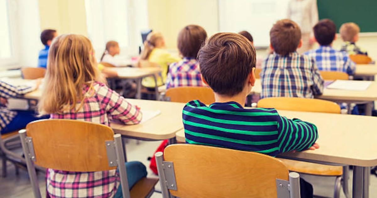 TCDSB supervisor announces cuts to literacy program, changes to international language instruction and bell times