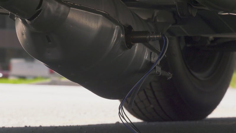Winnipeg man stops catalytic converter thief days after buying new vehicle