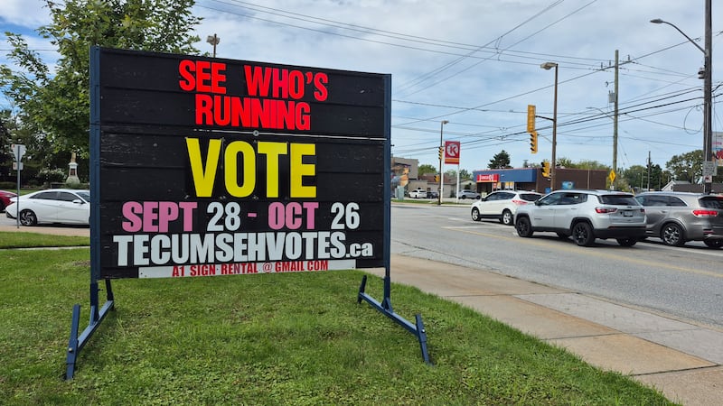 ‘It’s a lot more work’: Why so many voters sit out of municipal elections