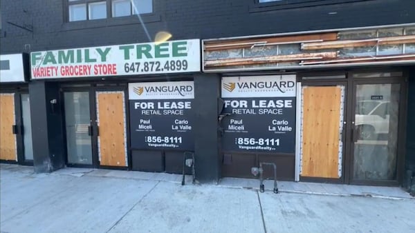 Black-owned business owners in Little Jamaica seek supports after dozens of stores close during LRT construction