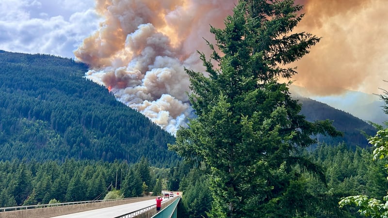 ‘We can’t come back from this in a couple weeks’: Wildfire devastates Fraser Canyon resort