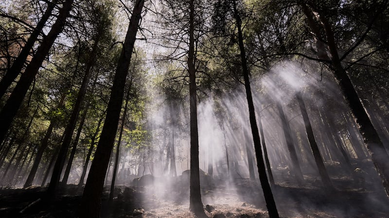 Spain’s Aragon sends ‘largest deployment’ against wildfire threatening 1,000-year-old monastery