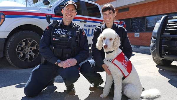 Meet Moka: Nipissing victim services’ newest support dog