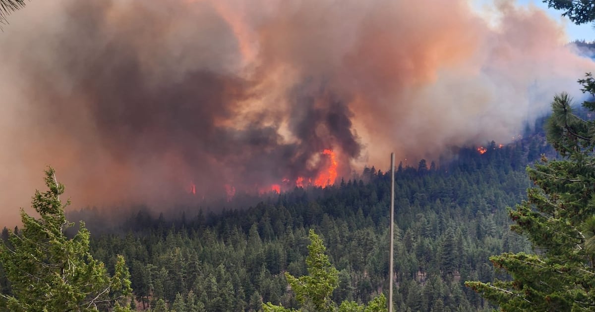 The northwest flank of the Bald Range wildfire burns near Summerland, B.C., in this Monday, Aug. 10, 2026, handout photo. (Handout — B.C. Wildfire Service / The Canadian Press)