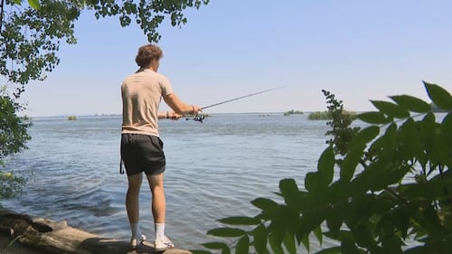 ‘Forever chemicals’ found in fish in St. Lawrence River