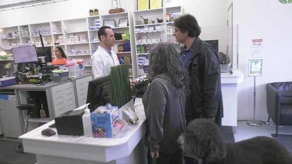 How Ontario pharmacists could help pet owners manage rising medication costs