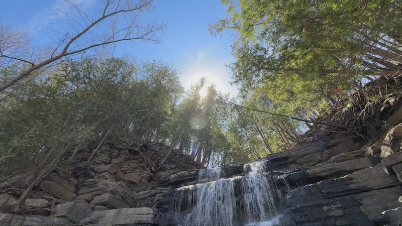 Rainy weather lingers in Ottawa, but sunshine is on its way