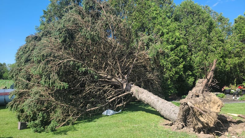 Weak tornado, two downbursts confirmed in Chatham-Kent storm