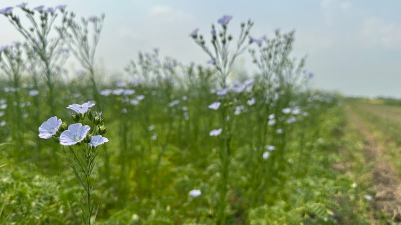 Research farms near Indian Head to continue operating with agreement between province, Ottawa