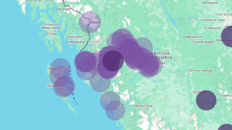 Cable thieves blamed for widespread Telus outage in B.C.’s north