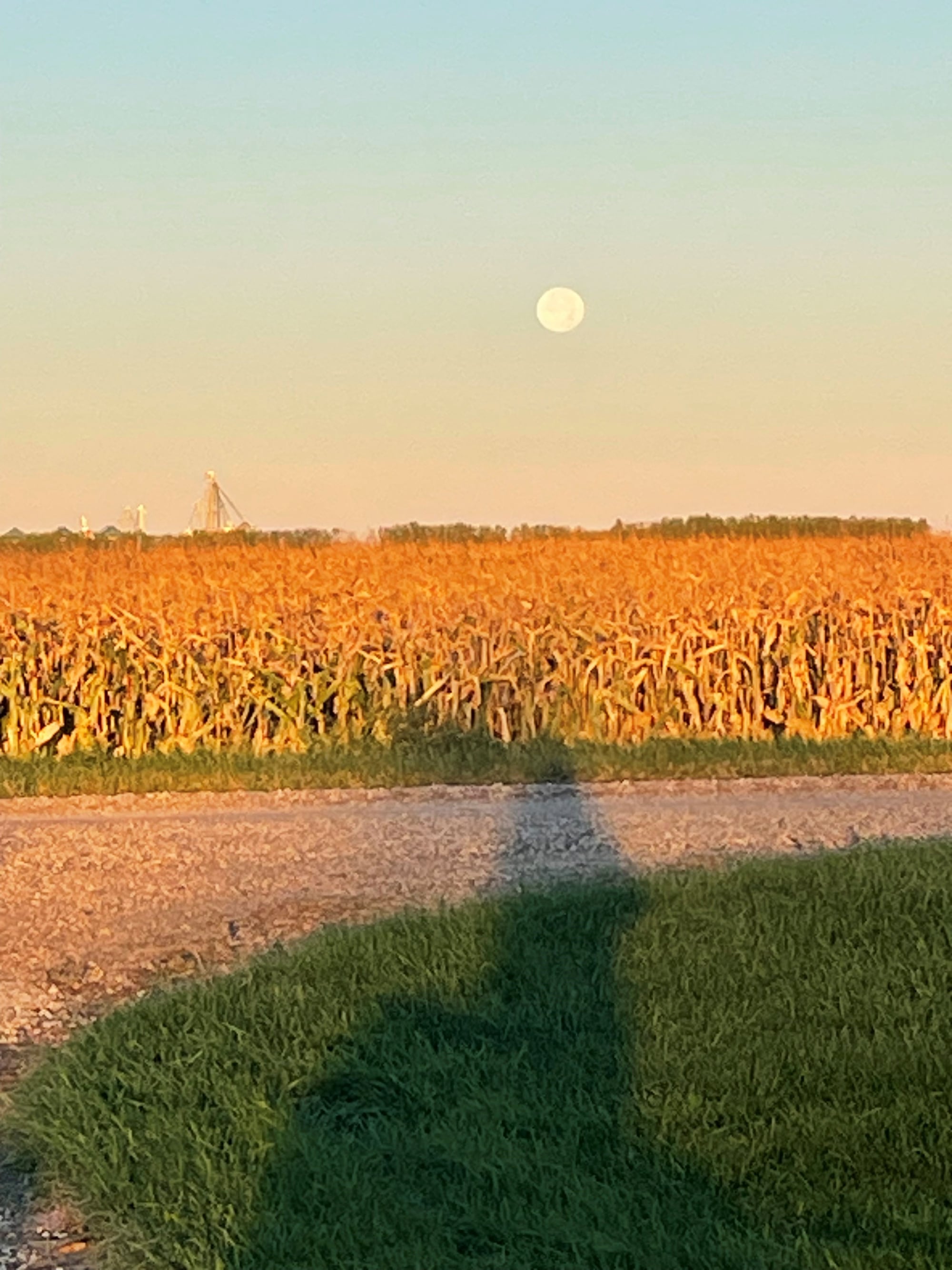 Super Harvest Moon in Manitoba - October 2025 – CTVNews