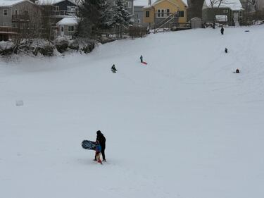 Halifax residents are pictured sledding on Jan. 26, 2026. (CTV Atlantic / Brianne Foley)