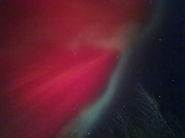 The northern lights are seen in New Glasgow, N.S., on Nov. 11, 2025. (Submitted: Jamie Sipeki)