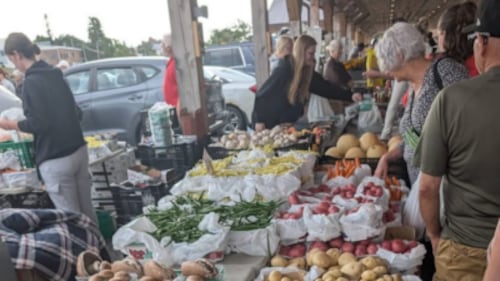 Funding from the province to improve Mountjoy Market