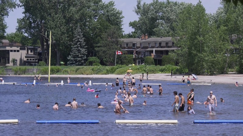 Summer safety tips from Ontario doctors