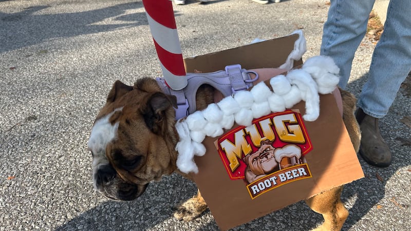 Pawsitively spooky: Hallowoof returns to Windsor