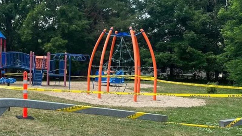 Sheriff: 12 teens wounded in a shootout at a birthday party in Georgia park