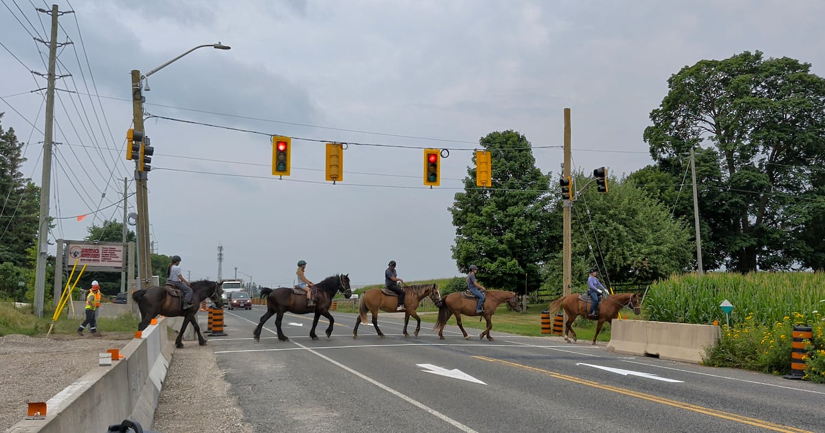 New horse crossing signal during bridge construction in Woolwich