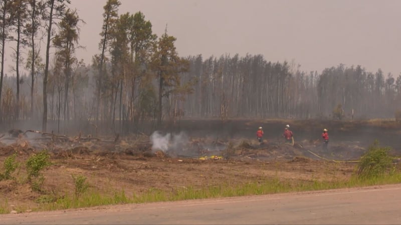 Northern Sask. man pleads guilty to starting 200,000-hectare wildfire