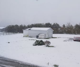 Snow is pictured on the ground on May 29, 2026 in River Ryan, N.S. (Courtesy: Linda Gillis)