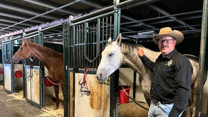 ‘Scorching on this pavement’: How to seek heat relief at Calgary Stampede