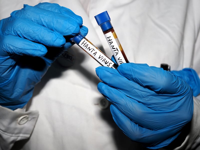 Third person in Ontario in isolation due to hantavirus