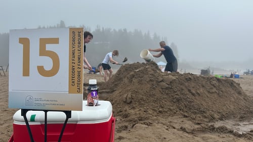 Hundreds of people participated in the amateur sand sculpting competition at New River Beach, N.B. (CTV/Avery MacRae)