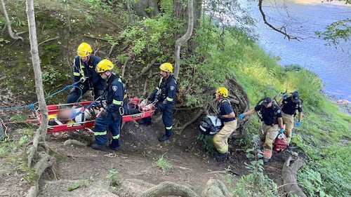 Person rescued after fall down steep embankment at Meadowlily trail in London