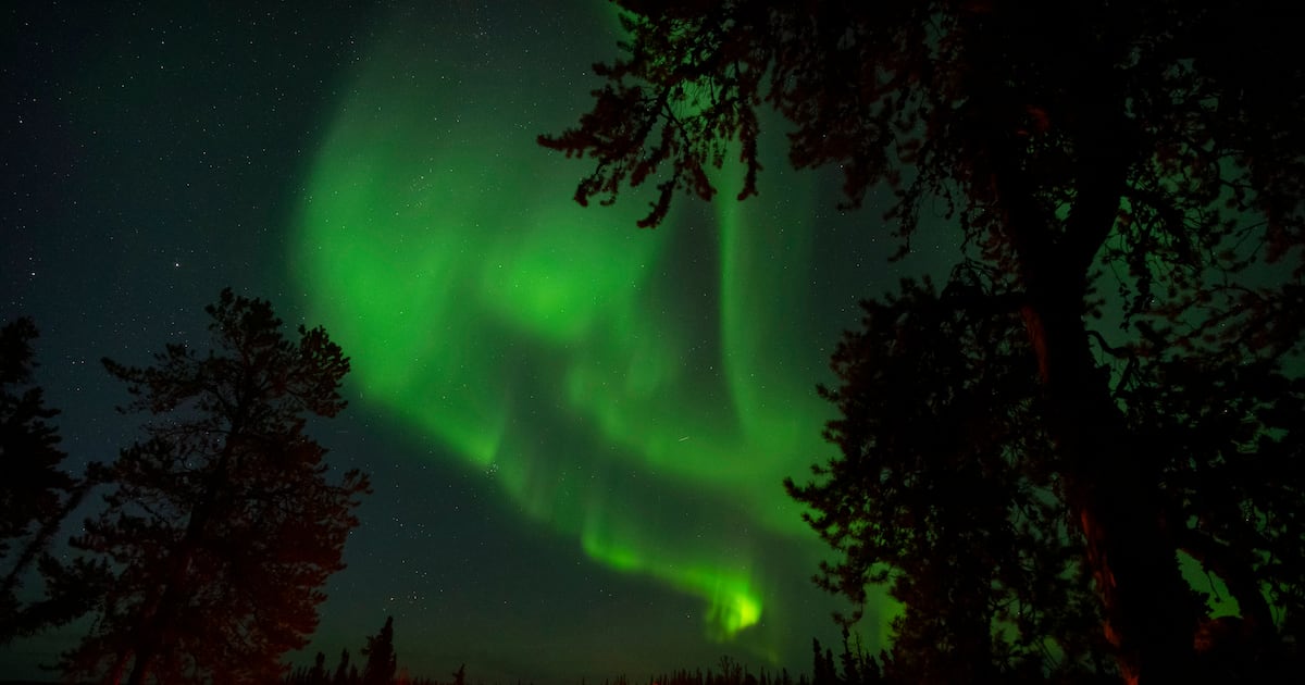 Nordlichter könnten heute Nacht in weiten Teilen Kanadas sichtbar sein.