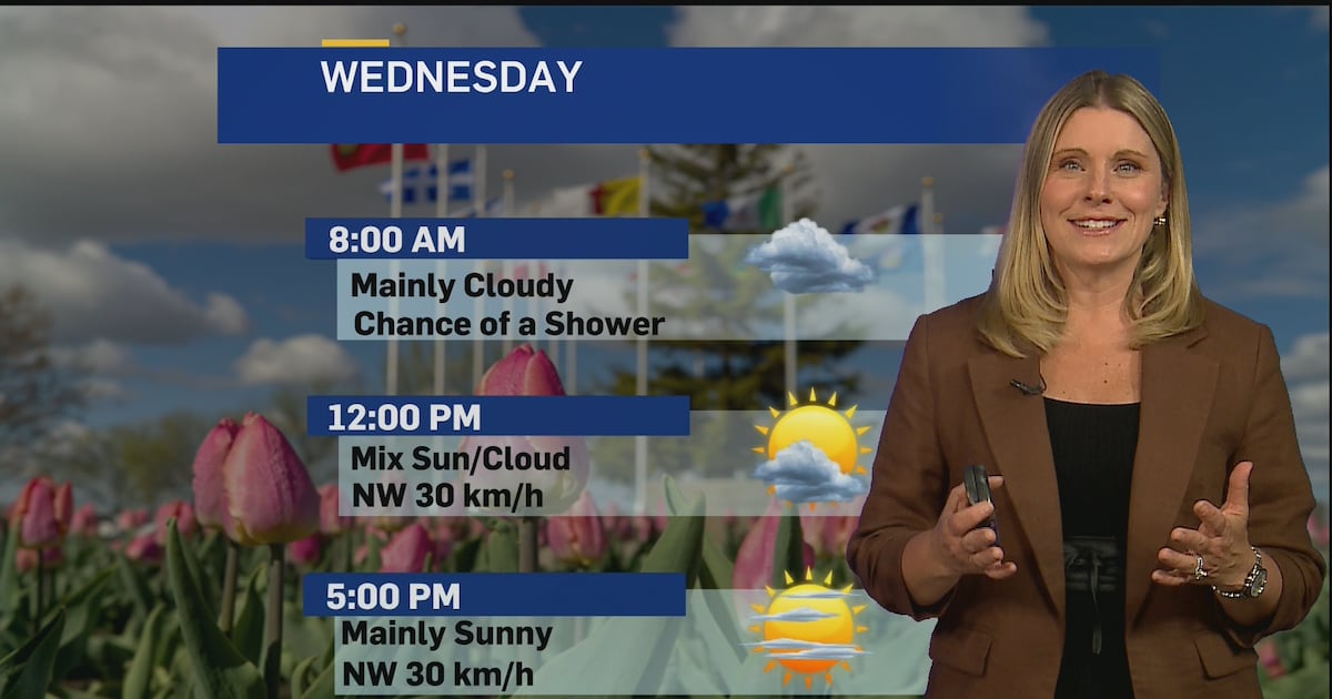 Cooler, calmer conditions return to London, Ont., after severe storms sweep region