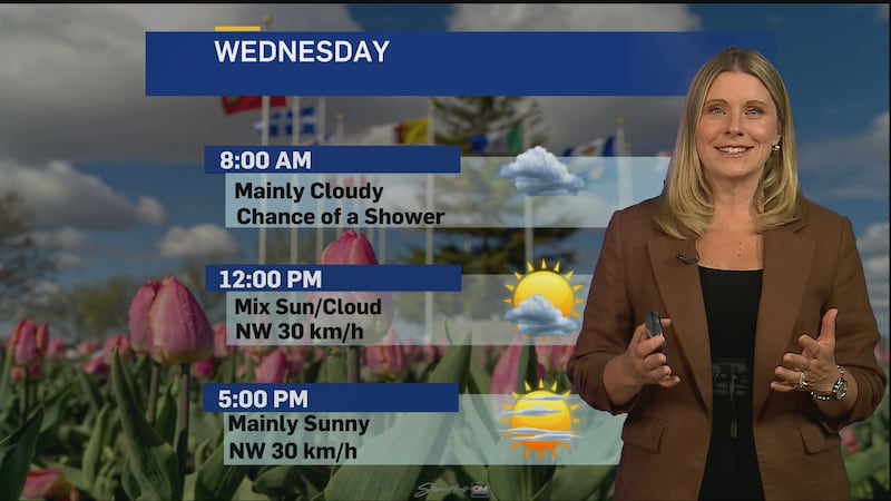 Cooler, calmer conditions return to London, Ont., after severe storms sweep region