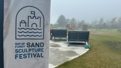 The Bay of Fundy Sand Sculpture Festival is held at New River Beach, N.B. (CTV/Avery MacRae)