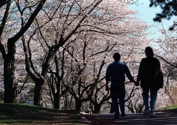 ‘Unseasonably cool’ temperatures this week but warmer weather on the way for Easter weekend