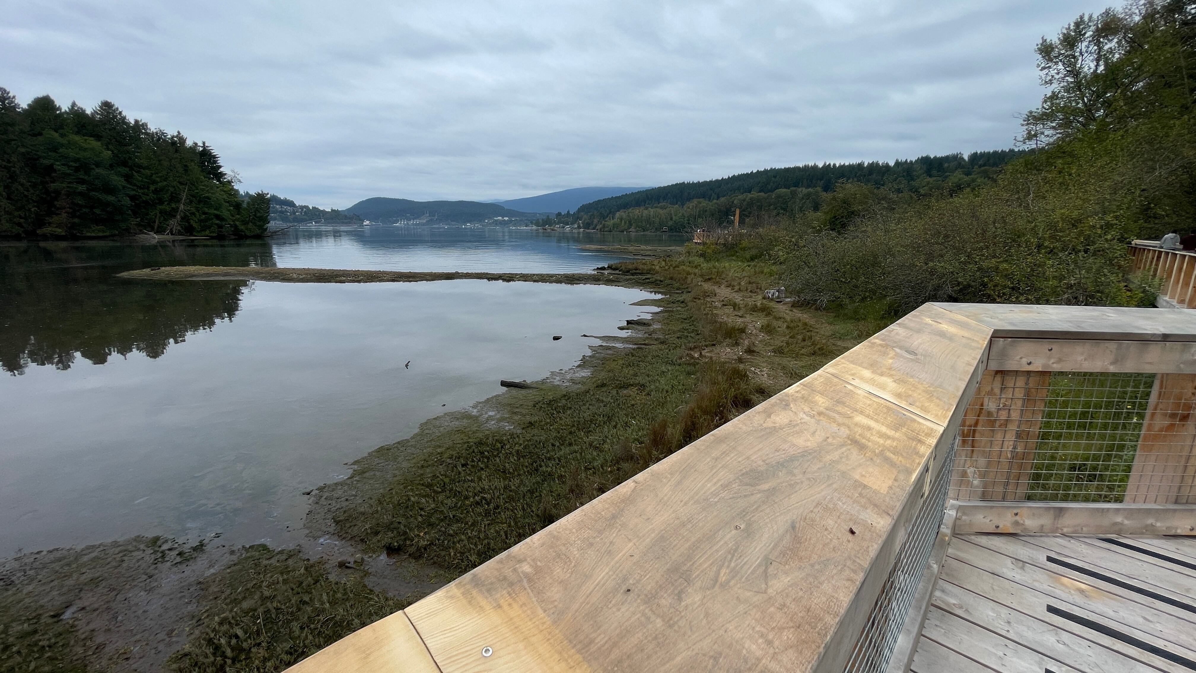 Shoreline Trail boardwalk