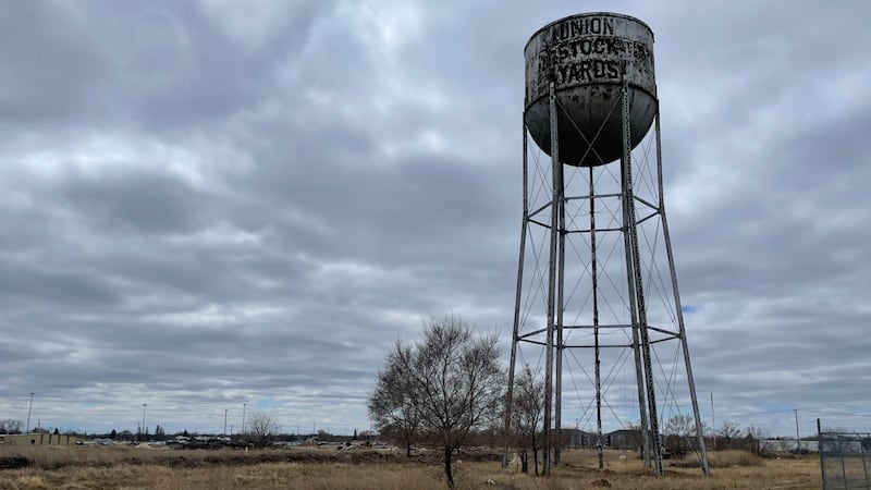 ‘A sense of identity’: Future plans unveiled for iconic St. Boniface water tower