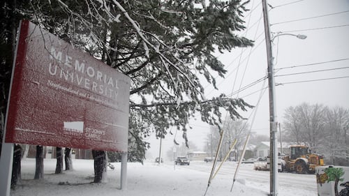 Staff member assaulted on campus at Memorial University in St. John's, N.L.