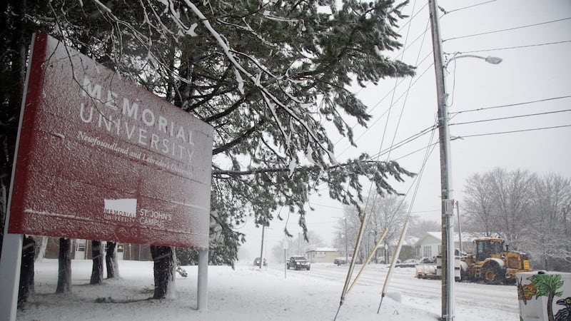 Staff member assaulted on campus at Memorial University in St. John's, N.L.