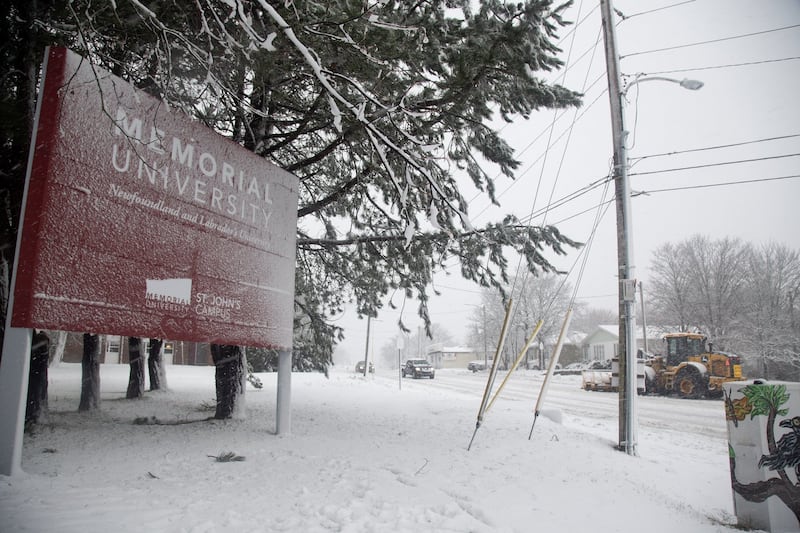 Staff member assaulted on campus at Memorial University in St. John's, N.L.