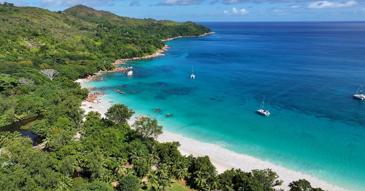 Shooting leaves 4 dead in Caribbean nation known for luxury tourism, police say - CTV News