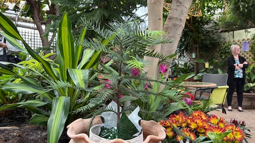 Regina Floral Conservatory. Oct. 2, 2026. (Gareth Dillistone/CTV News)
